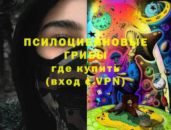 Альфа ПВП Горно-Алтайск