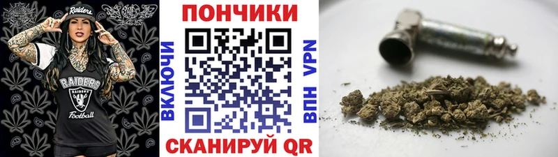 Купить закладки  Никольское  Шишки марихуана конопля 